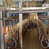 京鹏9JY-24挤奶机