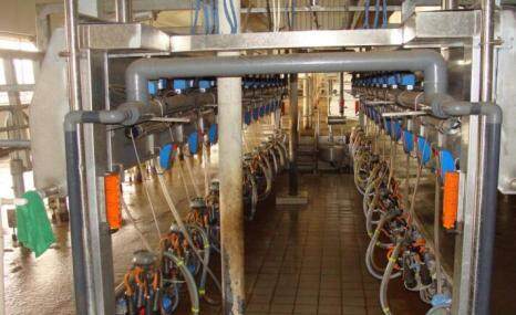 京鹏9JY-24鱼骨式挤奶机