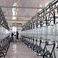 双益9JNZ-16挤奶机