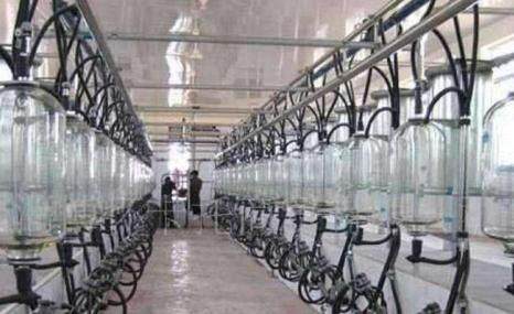 双益9JNZ-14中置式挤奶机