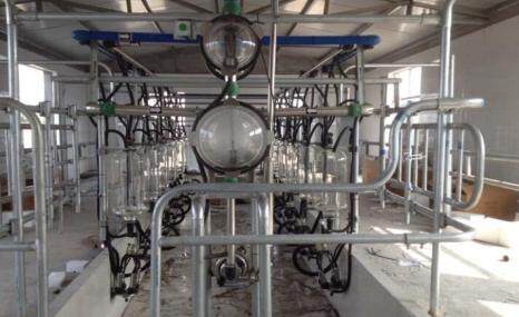 怀卡托9JYP-YG-12鱼骨式挤奶机