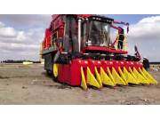 钵施然7936自走式六行圆捆打包采棉机作业视频