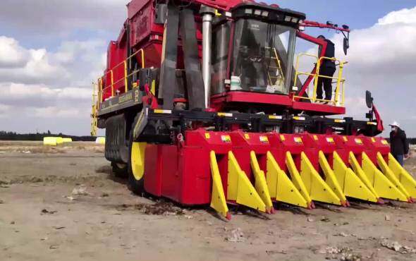 钵施然7936自走式六行圆捆打包采棉机作业视频