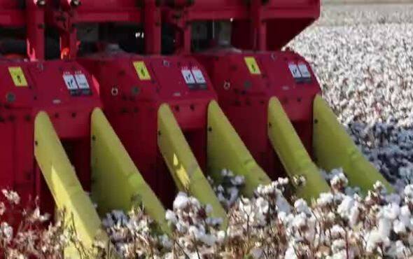 钵施然三行箱式棉花收获机作业视频