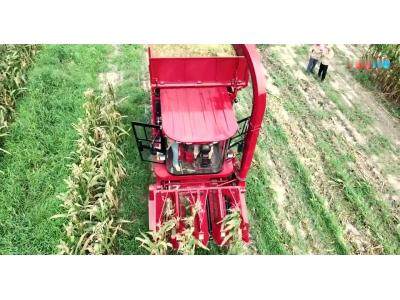 勇猛4YZ-4ES自走式穗茎兼收玉米收获机