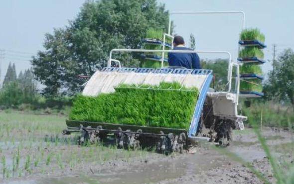 星月神2ZG-6S高速插秧机产品介绍视频