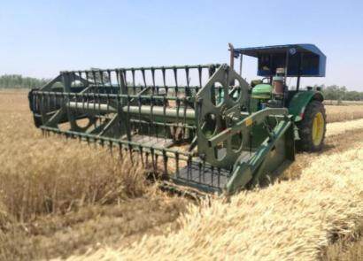 农垦稻花香4SX-3300稻麦割晒机