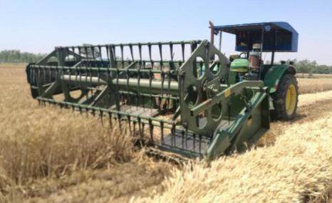 农垦稻花香4SX-3300稻麦割晒机