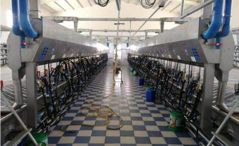 东科伟9JBD-48型并列式挤奶机