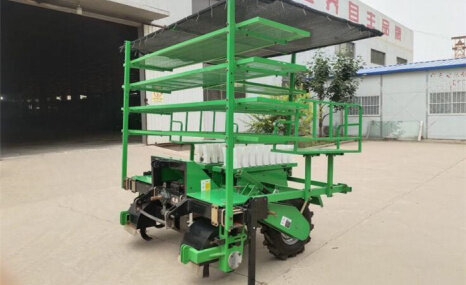 福瑞特2ZBX-2秧苗移栽机