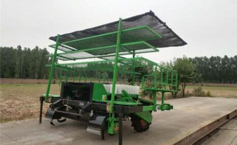 福瑞特2ZBX-3秧苗移栽机
