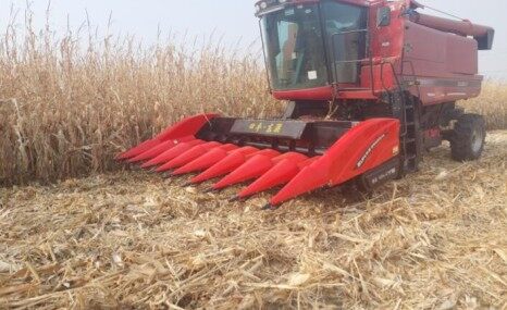 四平东联4YGG8-590X510玉米收割台