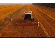 科乐收D370联合收割机发布视频