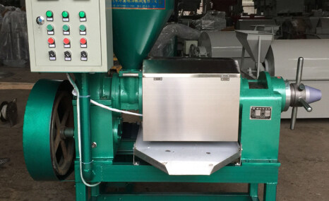 华奥YZYX95-10型榨油机