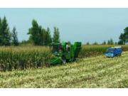 迪马瑞龙小十行玉米收获机作业视频