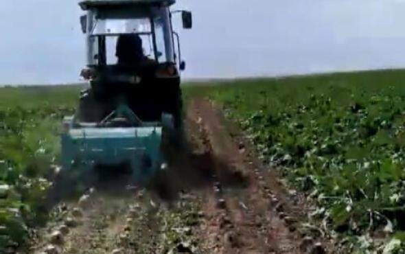 北大荒众荣两行甜菜打秧机作业视频