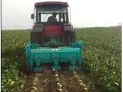 北大荒众荣三行甜菜打秧机作业视频