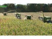 科罗尼BiG_X_680-1180自走式青贮机产品介绍视频