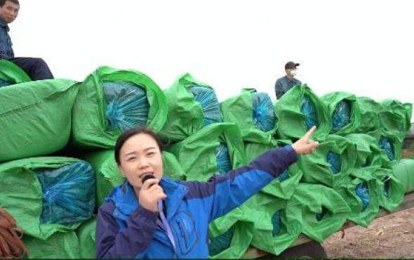 顺邦打捆机青黄贮作业视频2