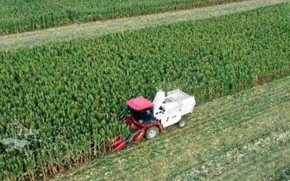 徐工XCA430玉米机作业视频