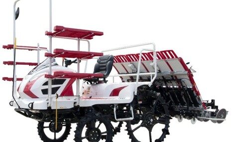 洋马2ZYG-6(G4)油菜毯状苗高速移栽机