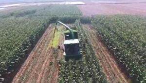 迪马牧王青饲料收获机产品介绍视频