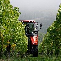 ERO7000酿酒葡萄收获机