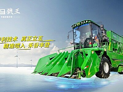 迪马狼王（G4）自走式穗茎兼收玉米收获机