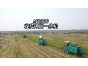 五征高北M2000自走式青饲料收获打捆机产品介绍视频