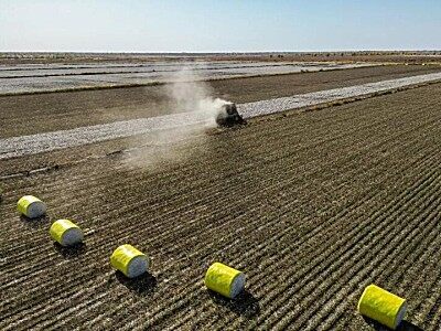 超级棉田第三季迎丰收，用降本增效开启复制加速度