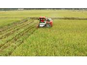 久保田EX118Q全喂入履带式收割机产品介绍视频