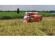 久保田PRO888GM半喂入履带式收割机产品介绍视频