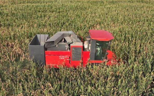 久保田4YZB-3(PRO1408Y)（G4）玉米收获机产品介绍视频