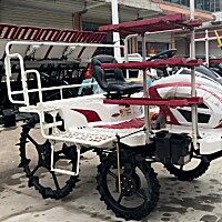 洋马YR60D高速插秧机