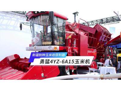 新疆制种玉米收获利器—勇猛4YZ-6A15玉米机