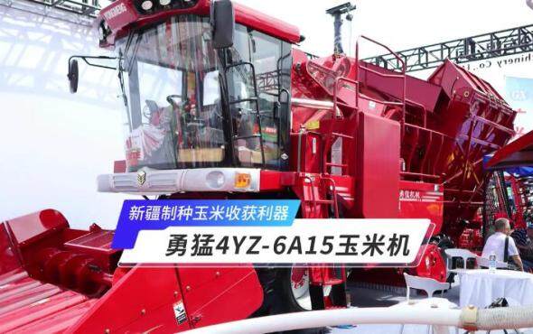 新疆制种玉米收获利器—勇猛4YZ-6A15玉米机