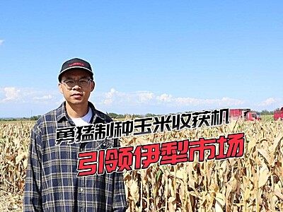 勇猛制种玉米收获机，引领伊犁市场