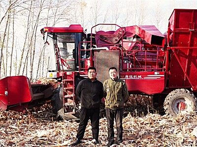 勇猛大六行玉米收获机，效率和收益都更高！