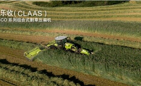 科乐收（CLASS） DISCO组合式割草压扁机