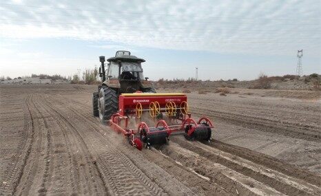 钵施然2MBJLS-6多功能播种机