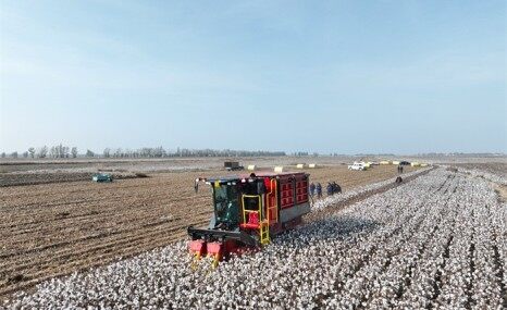 钵施然4MZ-2C自走式棉花收获机