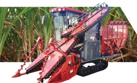 沃得鸿龙4GD-1(G4)甘蔗割堆机