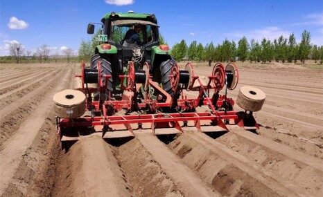 GRIMME（格立莫）GH 4马铃薯中耕起垄机