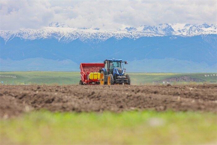 GRIMME(格立莫)GL 430播种机