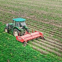 GRIMME(格立莫)KS 3600马铃薯杀秧机