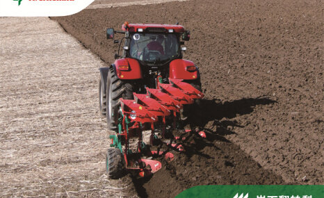 格兰岸下翻转犁