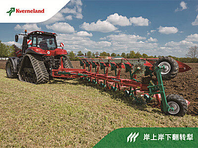 格兰岸上岸下翻转犁