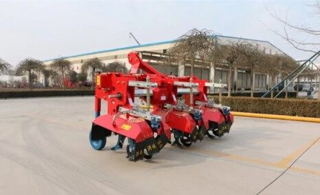 洪珠2TD-S3型马铃薯上土机