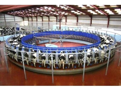 力欧J-LEO-1×16转盘式挤奶机