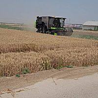 中联谷王TK100MAX小麦收割机